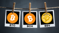 BTC, BCH e BSV