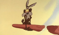 Wile E. Coyote